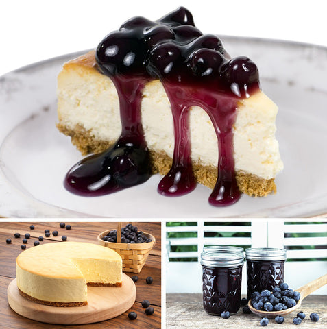 Blueberry- Plant-Based Cheesecake